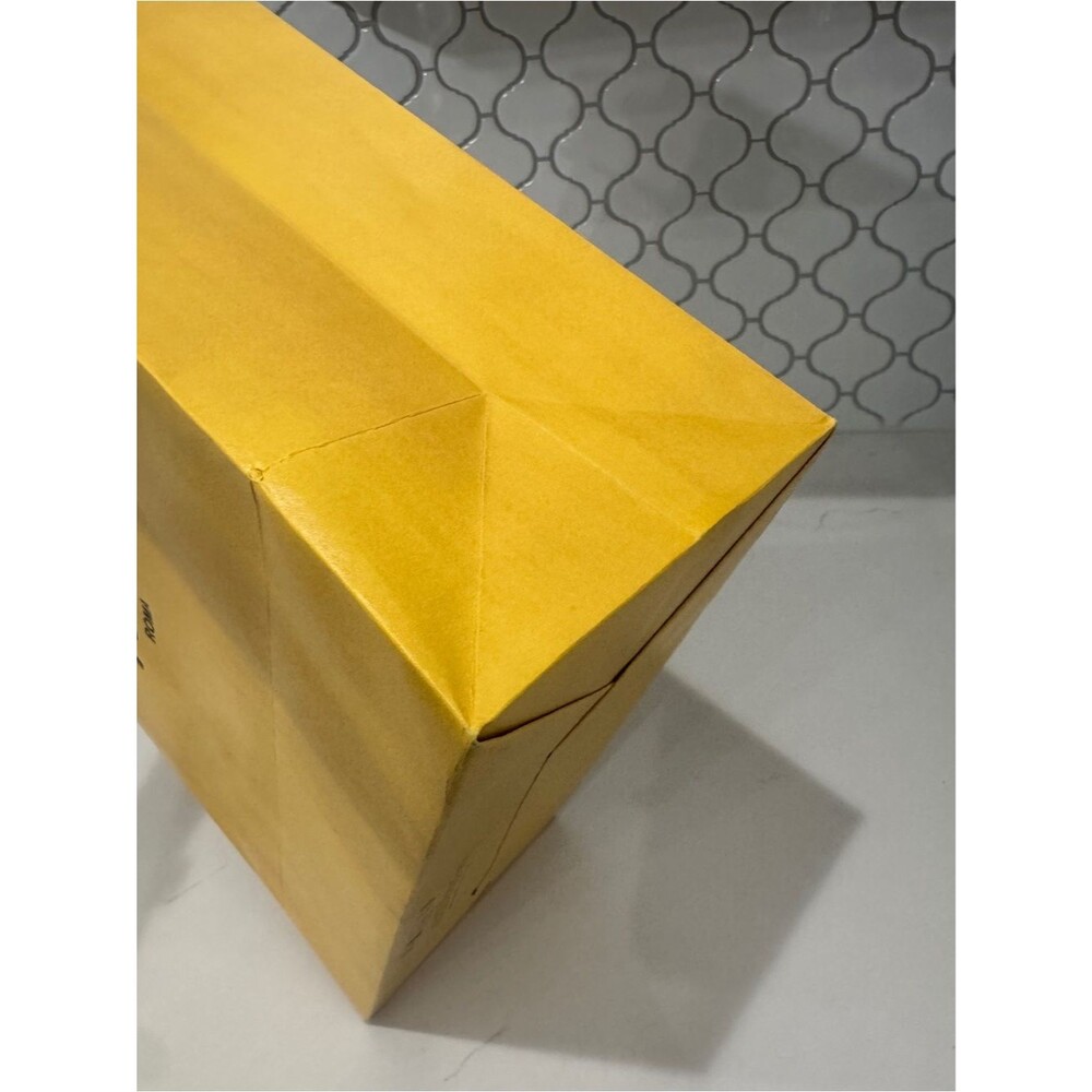 Authentic Fendi Roma Large Hard Sided Boutique Shopping Gift Bag w/ Ribbon - Picture 6 of 10